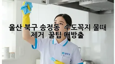 울산 북구 송정동 🏠 수도꼭지 물때 제거 ✨ 꿀팁 대방출!