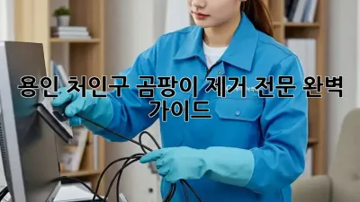 용인 처인구 곰팡이 제거 전문: 완벽 가이드